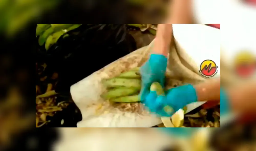 Desliza para ver los momentos más impactantes del video que se hizo viral en YouTube. Desliza para ver los momentos más impactantes del video que se hizo viral en YouTube.