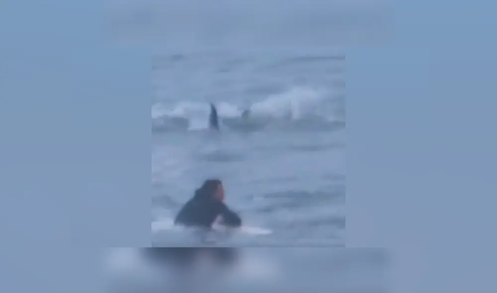 Desliza las imágenes para ver más del video viral Desliza las imágenes para ver más del video viral