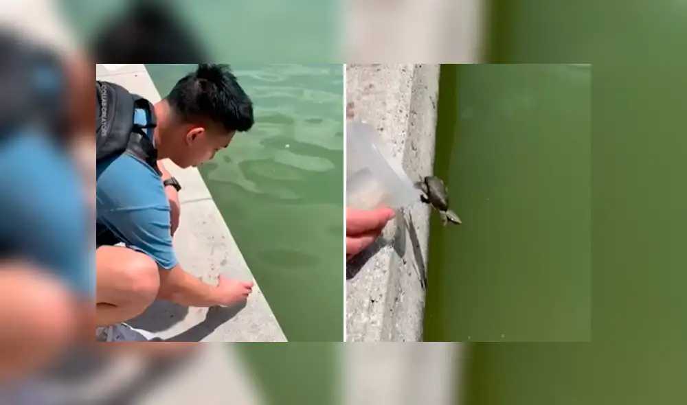 Desliza para ver los momentos más impactantes del video que se hizo viral en Facebook.