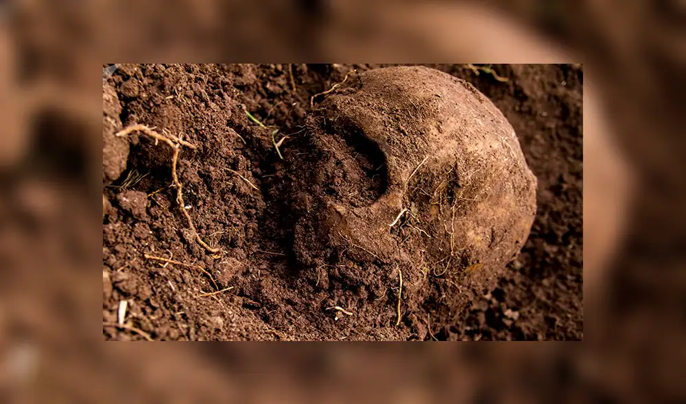 Fosas clandestinas en Jalisco