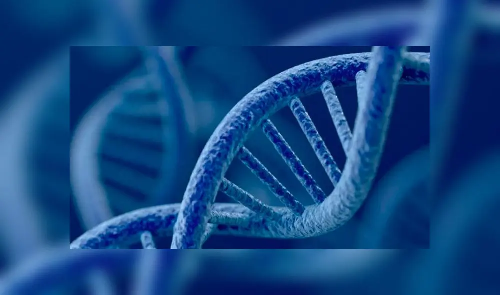 Hombre dice ser niño perdido hace 25 años y lleva muestra de su ADN para probarlo Hombre dice ser niño perdido hace 25 años y lleva muestra de su ADN para probarlo