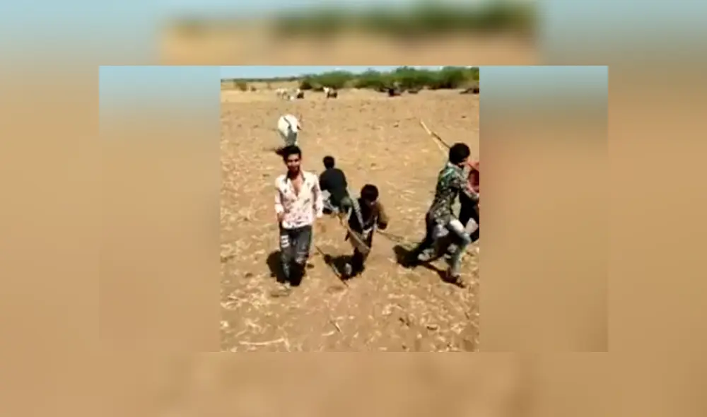 Vía Facebook. Una vaca vio que su dueño estaba en apuros y no dudó en ir a su rescate. Vía Facebook. Una vaca vio que su dueño estaba en apuros y no dudó en ir a su rescate.