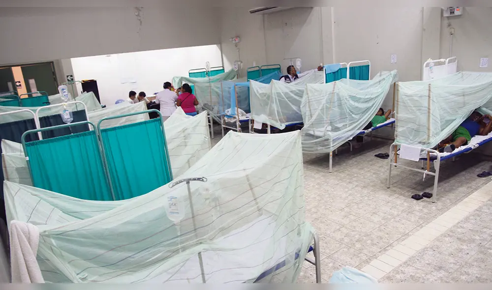 Dengue sigue atacando a los piuranos. Dengue sigue atacando a los piuranos.