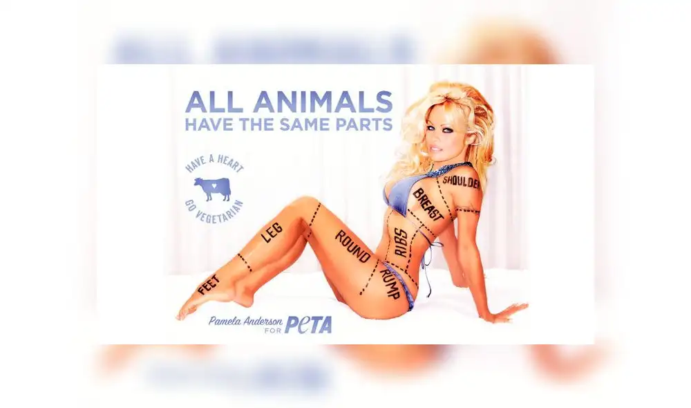 Pamela Anderson defiende a Julián Assange, el fundador de Wikileaks [FOTOS]