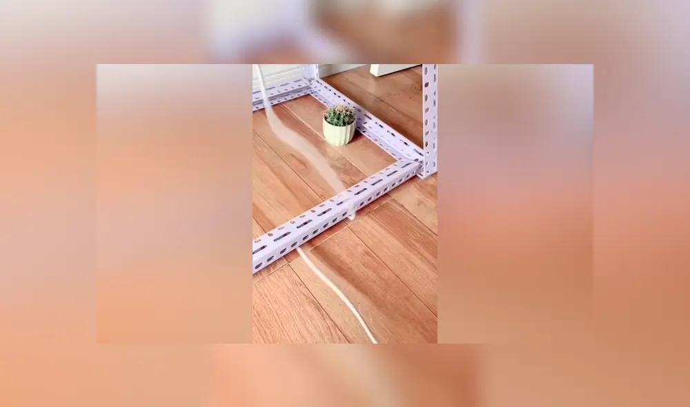 Facebook viral: ¿cómo sacar un cable atrapado debajo de una mesa sin levantarla? Aprende truco [VIDEO] 