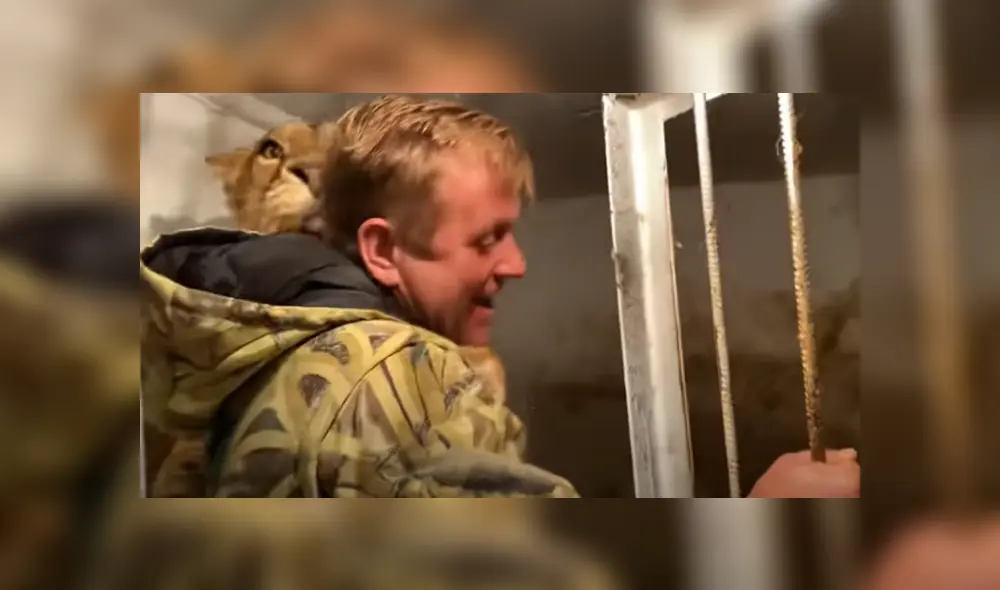 Desliza hacia la izquierda para ver las imágenes de viral de Facebook. Desliza hacia la izquierda para ver las imágenes de viral de Facebook.