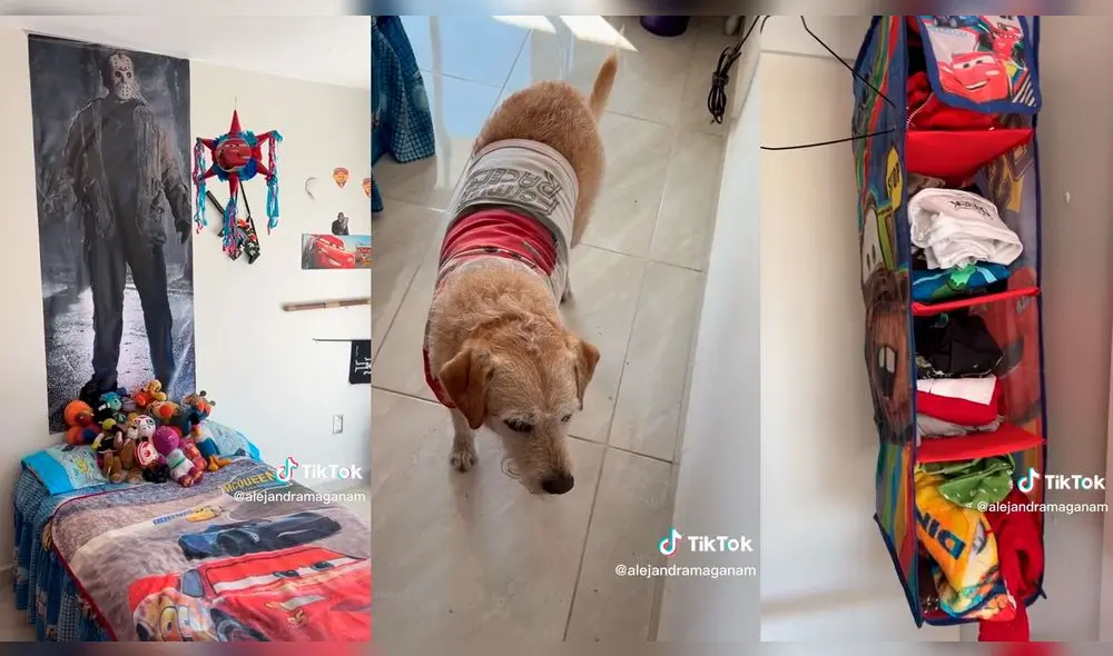 La joven se sorprendió al descubrir que su mamá le dio su habitación al perrito luego de irse de intercambio. Foto: composición LR/captura de TikTok/@alejandramaganam La joven se sorprendió al descubrir que su mamá le dio su habitación al perrito luego de irse de intercambio. Foto: composición LR/captura de TikTok/@alejandramaganam