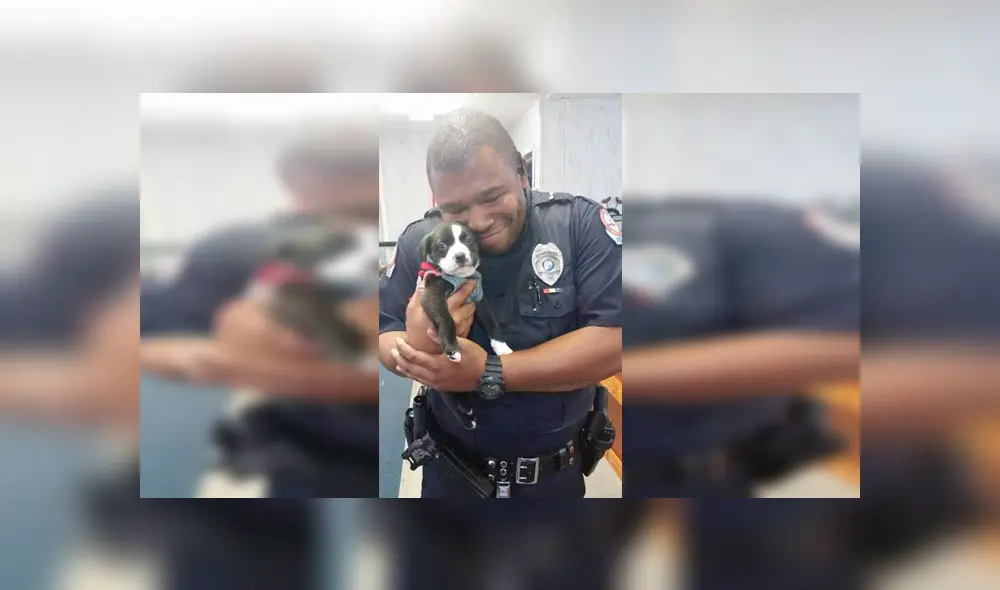 Desliza para ver las fotos que conmovieron a miles en Facebook. Foto: Captura.