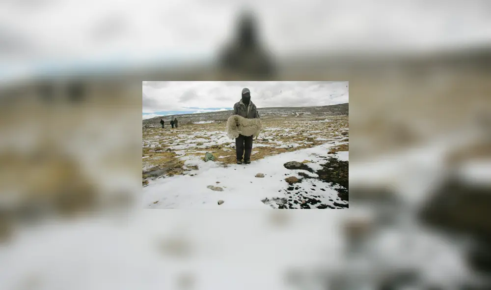 Se registraron temperaturas históricas en algunas localidades. Foto: Difusión