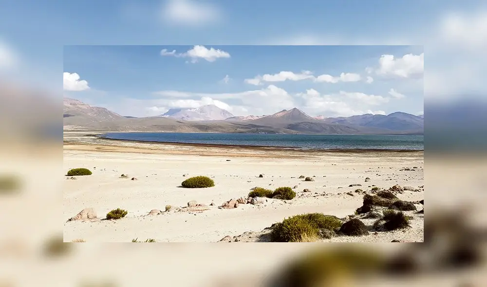 estudio. Monitoreo en zona de Huaytire tomaría dos años. estudio. Monitoreo en zona de Huaytire tomaría dos años.