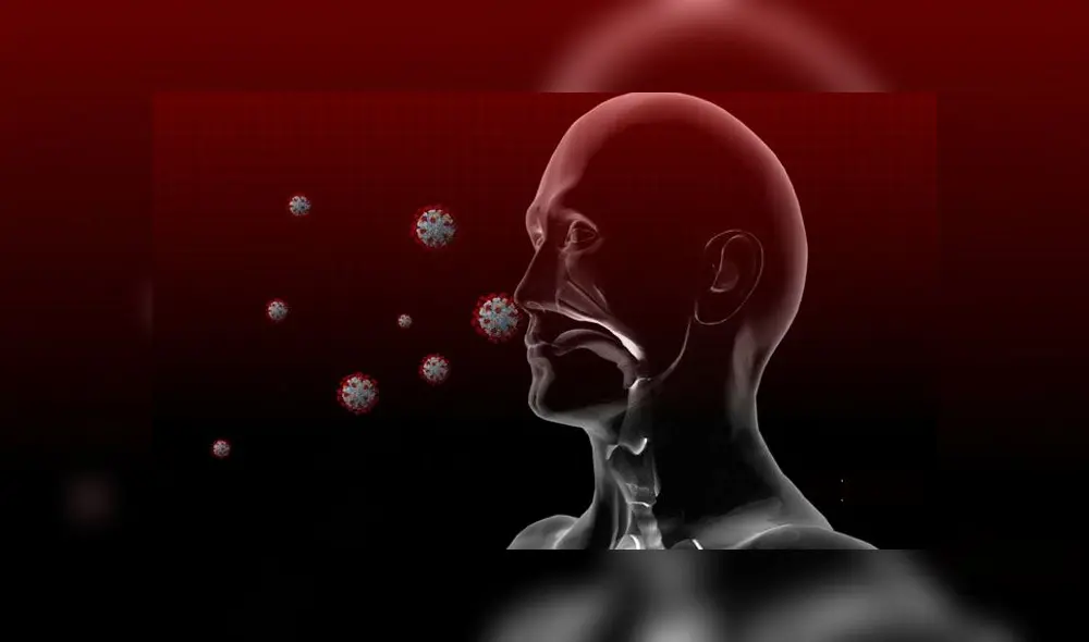 Coronavirus a punto de ingresar a las vías respiratorias de una persona. Imagen: ABCnews. Coronavirus a punto de ingresar a las vías respiratorias de una persona. Imagen: ABCnews.