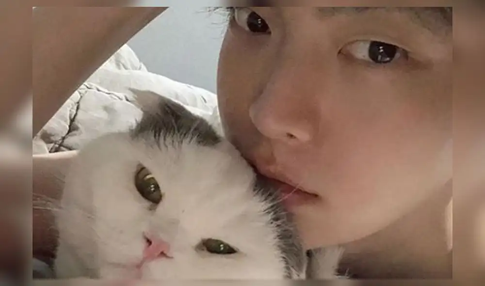 Ahn Jae Hyun emocionó a sus fans al compartir el estado actual de su mascota. Ahn Jae Hyun emocionó a sus fans al compartir el estado actual de su mascota.