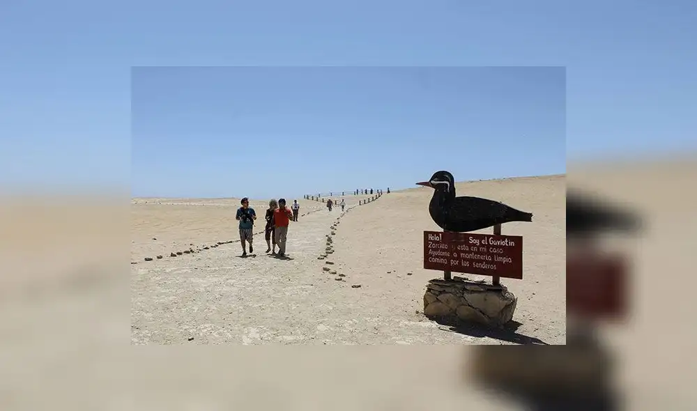 ¿Paracas en estado de emergencia turística?