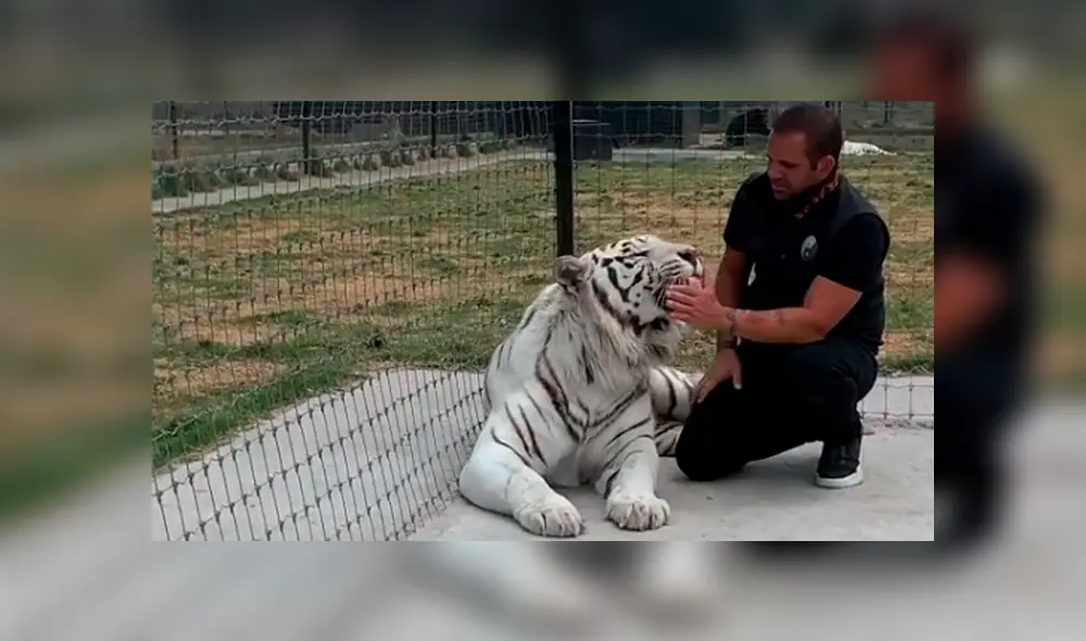 Desliza hacia la izquierda para ver las imágenes del viral de YouTube. Desliza hacia la izquierda para ver las imágenes del viral de YouTube.