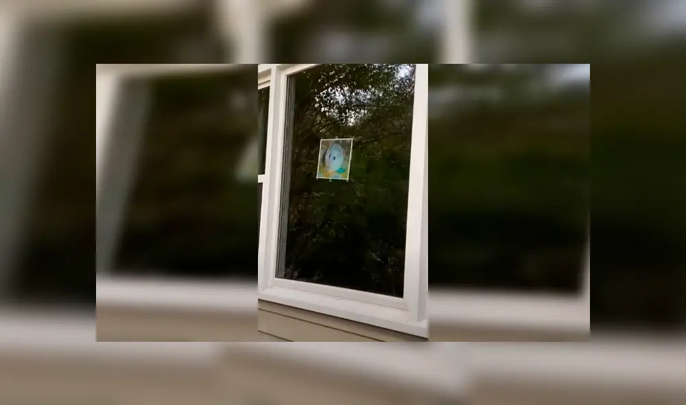 Desliza las imágenes para apreciar el pedido de una joven a su madre para adoptar a un hámster en casa. Fotocaptura: ViralHog. Desliza las imágenes para apreciar el pedido de una joven a su madre para adoptar a un hámster en casa. Fotocaptura: ViralHog.