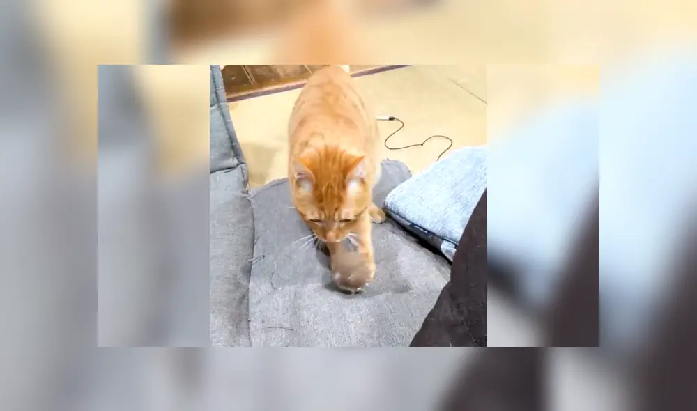 Desliza a la izquierda para ver el gesto que ha conmovido a miles en YouTube. Desliza a la izquierda para ver el gesto que ha conmovido a miles en YouTube.