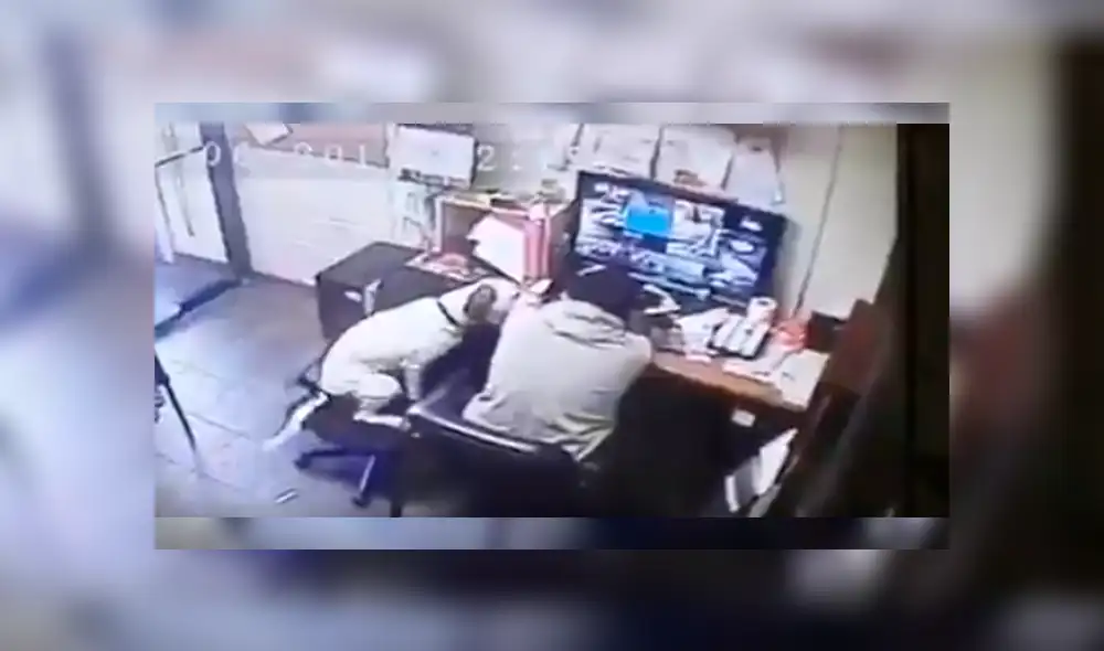 El can observó que su dueño se estaba quedando dormido mientras trabajaba y tuvo un singular comportamiento que ha conmovido a más de uno en Facebook