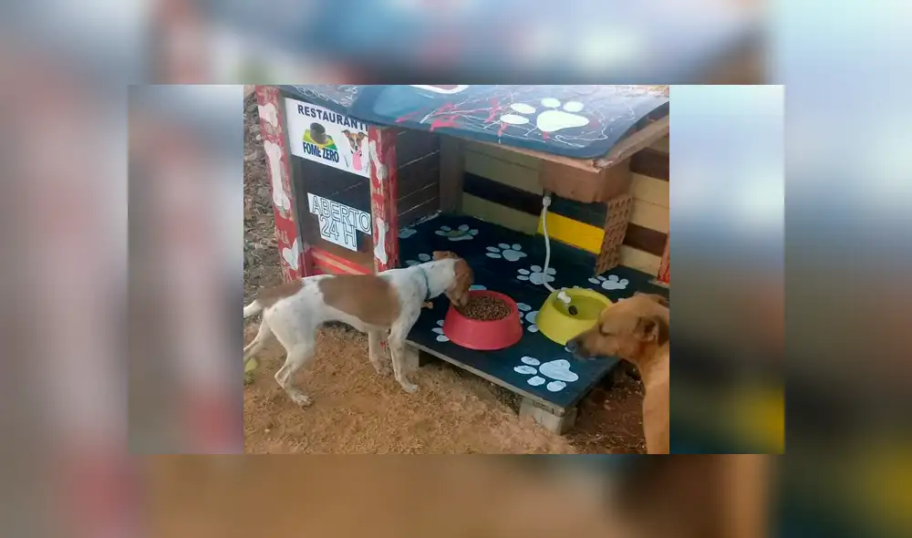 Vía Facebook: este es el primer 'restautant canino' para que Firulais tenga una cita romántica [FOTOS]