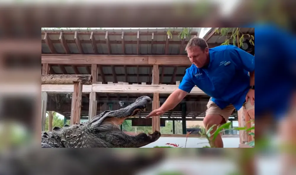 Desliza hacia la izquierda para ver el feroz ataque del cocodrilo. Escena que es viral en YouTube.