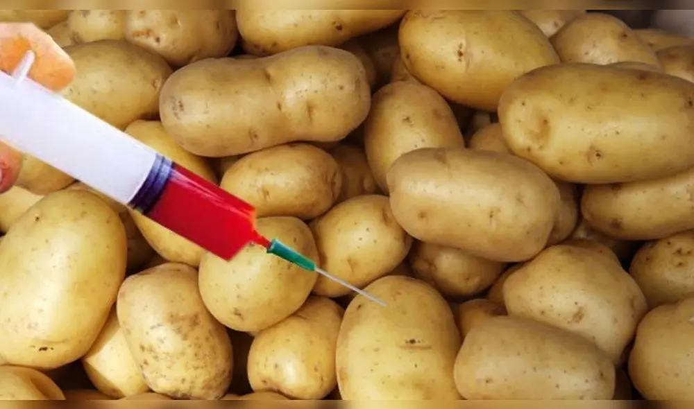 Ley de moratoria de transgénicos en Perú Ley de moratoria de transgénicos en Perú