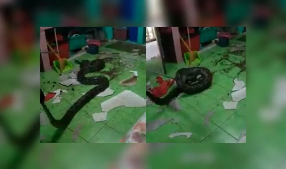 Desliza a la izquierda para ver este terrorífico descubrimiento. Fuente: Captura.