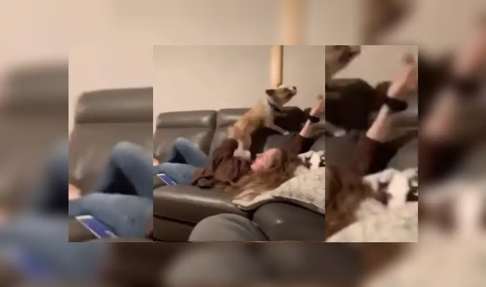 Desliza hacia la izquierda para v er más del video viral.