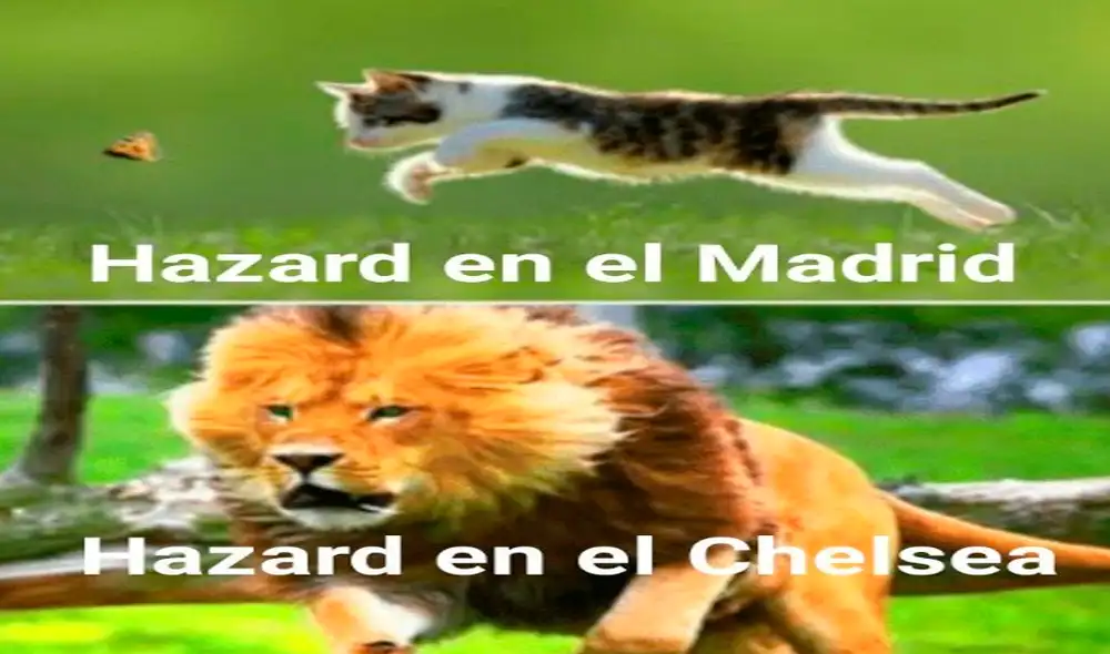 El derbi madrileño no pasó del 0-0. Real Madrid y Atlético Madrid se quedaron con un punto cada uno, tras empatar en partido correspondiente a la fecha 7 de la Liga Santander. El derbi madrileño no pasó del 0-0. Real Madrid y Atlético Madrid se quedaron con un punto cada uno, tras empatar en partido correspondiente a la fecha 7 de la Liga Santander.