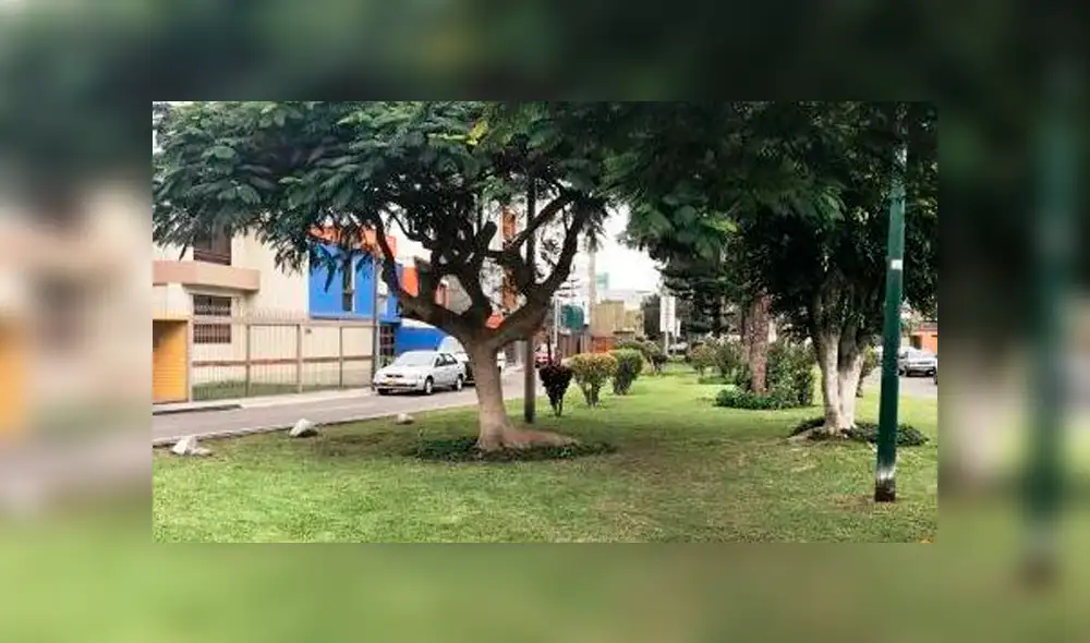 Captan a parejas teniendo relaciones sexuales en parque de Barranco