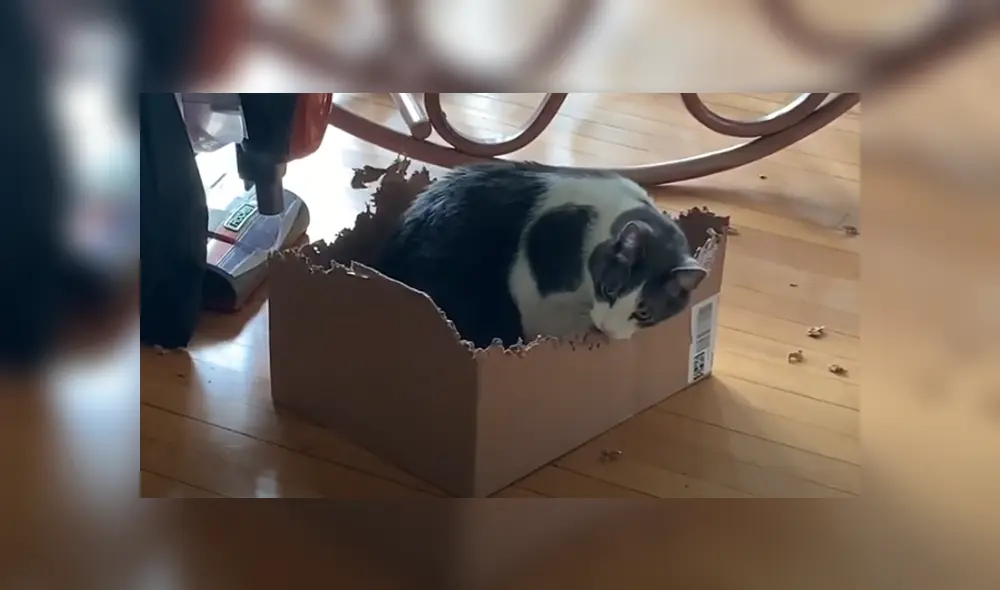 Desliza hacia la izquierda para ver las imágenes del viral de Facebook. Desliza hacia la izquierda para ver las imágenes del viral de Facebook.