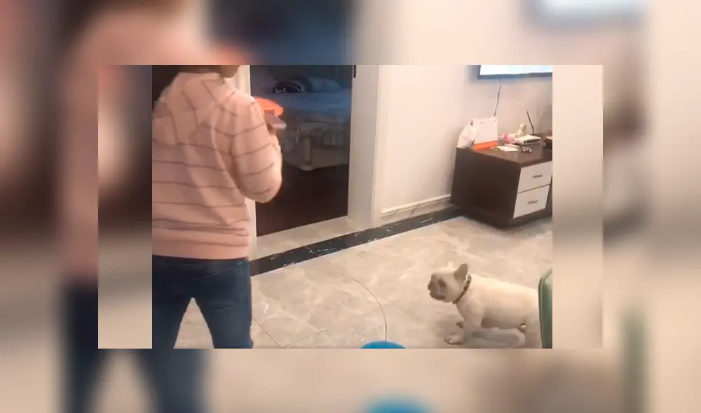 Desliza las imágenes para conocer el amoroso momento entre una niña junto a su adorable mascota. Foto: Captura. Desliza las imágenes para conocer el amoroso momento entre una niña junto a su adorable mascota. Foto: Captura.