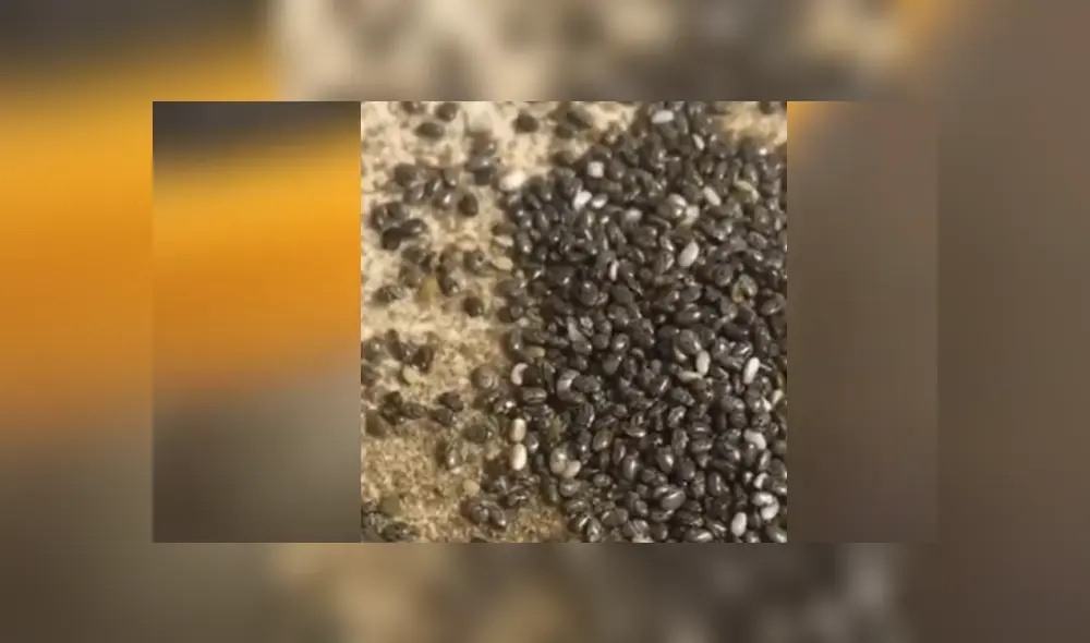 Desliza hacia la izquierda para ver las imágenes del viral de YouTube. Foto: Captura. Desliza hacia la izquierda para ver las imágenes del viral de YouTube. Foto: Captura.