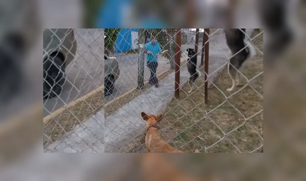 Desliza hacia la izquierda para ver más del video viral