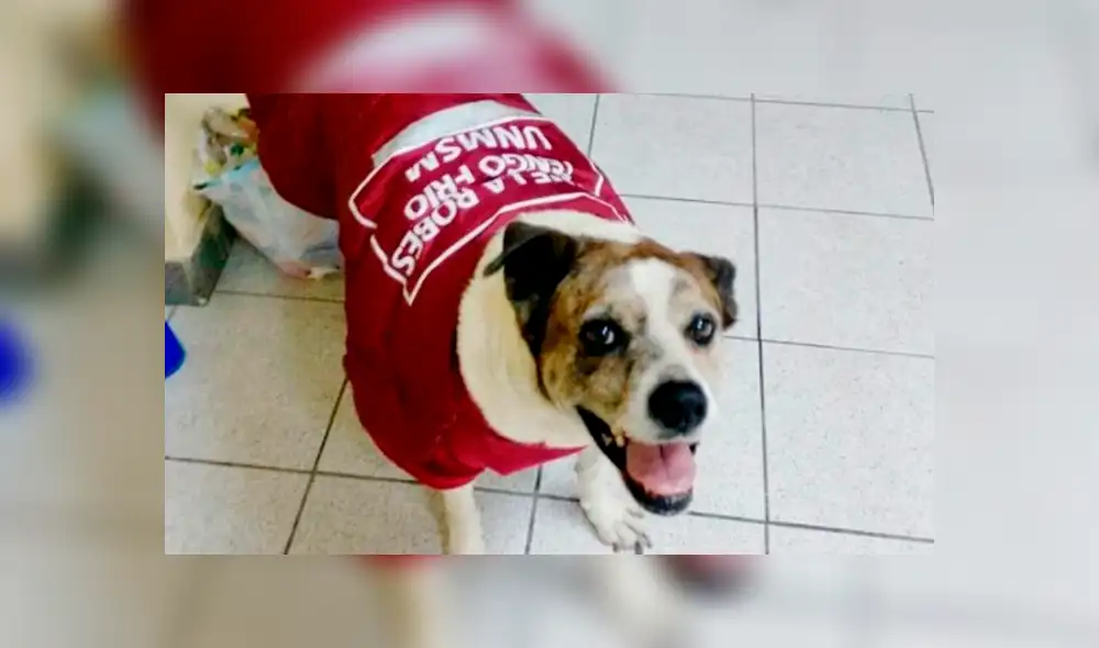 Y la ganadora fue Máscara, de la UNMSM, quien disfrutará de un año de comida gratis. Foto: Nukhan.