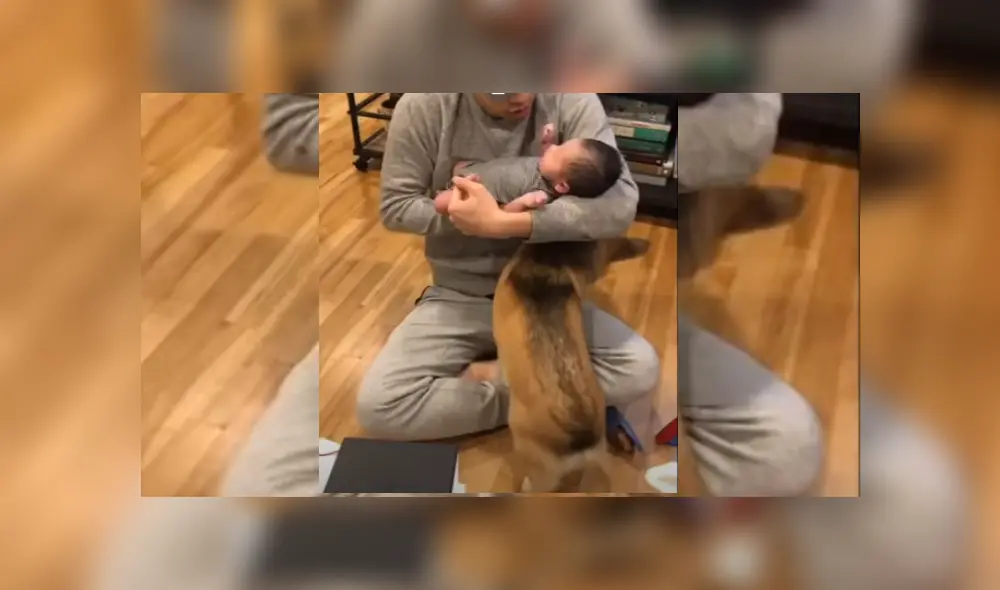 Desliza hacia la izquierda para ver más del video viral. Desliza hacia la izquierda para ver más del video viral.