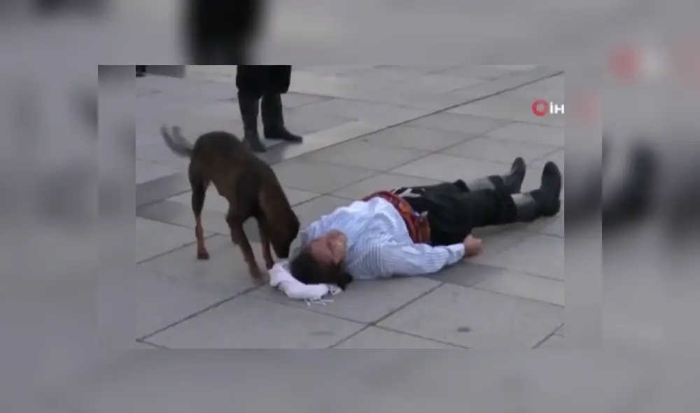 Desliza hacia la izquierda para ver más imágenes del noble gesto que tuvo este perro callejero. (Foto: captura / YouTube) Desliza hacia la izquierda para ver más imágenes del noble gesto que tuvo este perro callejero. (Foto: captura / YouTube)