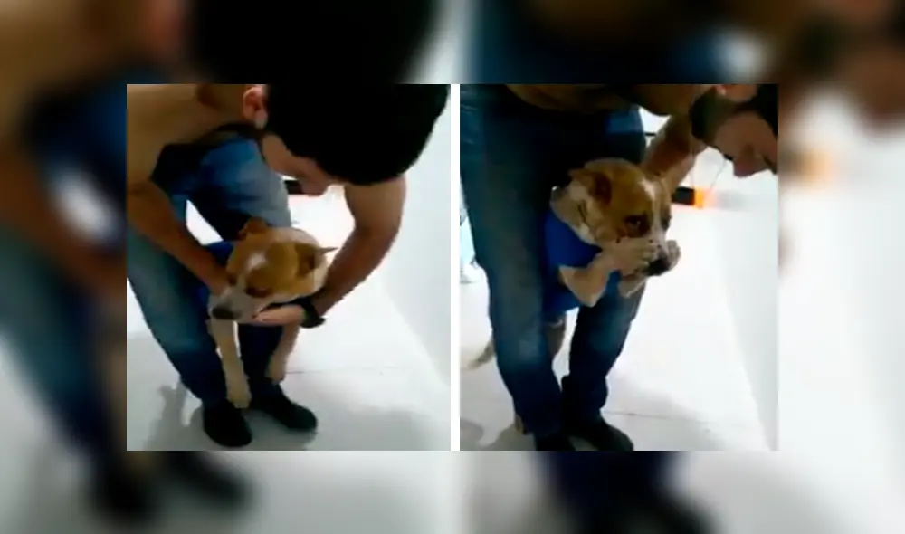 En Facebook, un perro se tapó el hocico para evitar tomar sus medicinas que le recetó su veterinario. En Facebook, un perro se tapó el hocico para evitar tomar sus medicinas que le recetó su veterinario.