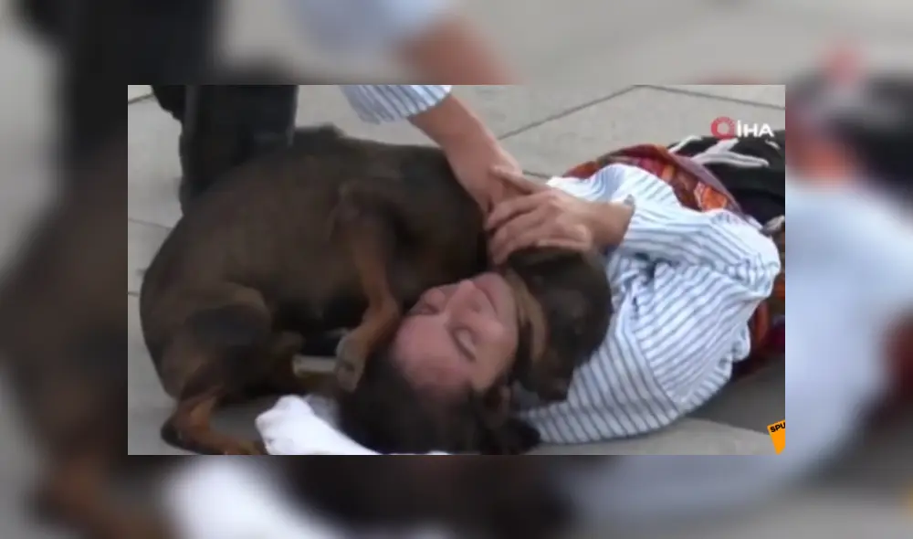 Desliza hacia la izquierda para ver más imágenes del noble gesto que tuvo este perro callejero. (Foto: captura / YouTube) Desliza hacia la izquierda para ver más imágenes del noble gesto que tuvo este perro callejero. (Foto: captura / YouTube)