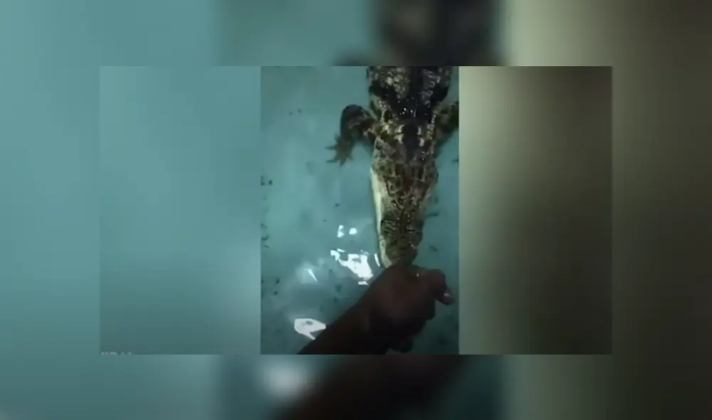 Desliza hacia la izquierda para ver las imágenes del viral de YouTube. Desliza hacia la izquierda para ver las imágenes del viral de YouTube.