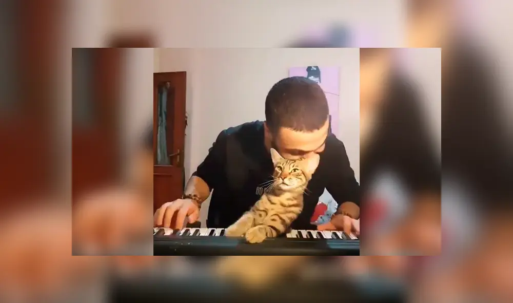 Desliza a la izquierda para ver el tierno gesto que ha conmovido a miles en YouTube. Foto: Captura.