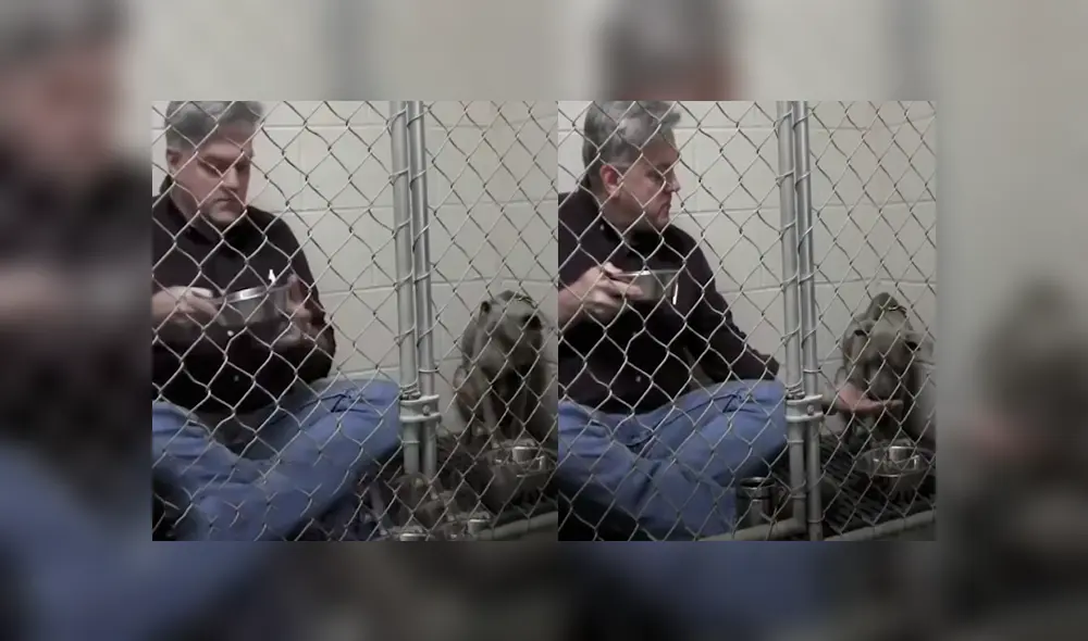 Facebook viral: veterinario aplica ‘truco’ para ganarse confianza de perro callejero y así hacerlo comer Facebook viral: veterinario aplica ‘truco’ para ganarse confianza de perro callejero y así hacerlo comer