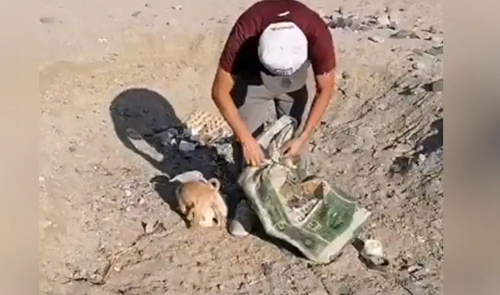 Desliza las imágenes para ver más detalles sobre esta conmovedora escena que es viral en redes sociales. Foto: captura de TikTok