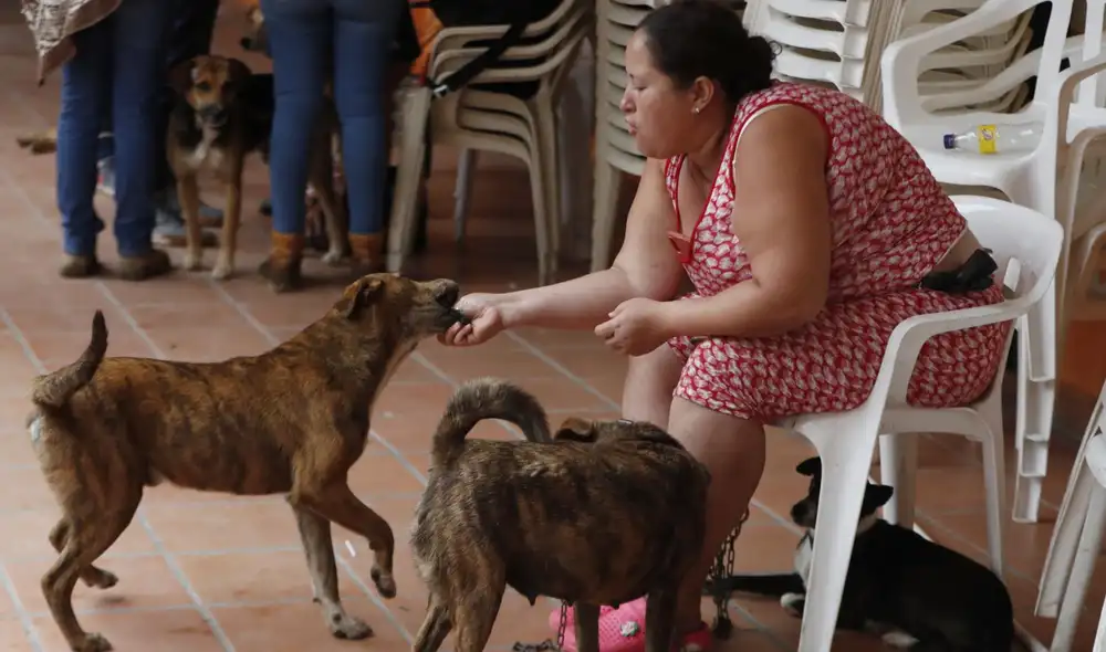 Ana Cristina Martínez juega con sus perros el 12 de enero de 2023 en Colombia. Foto: EFE