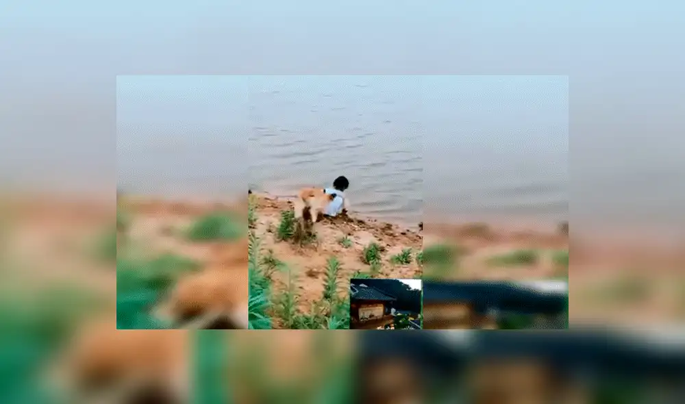 Facebook viral: niña se aproxima a peligroso río para sacar pelota y su perro llega a su rescate [VIDEO] 