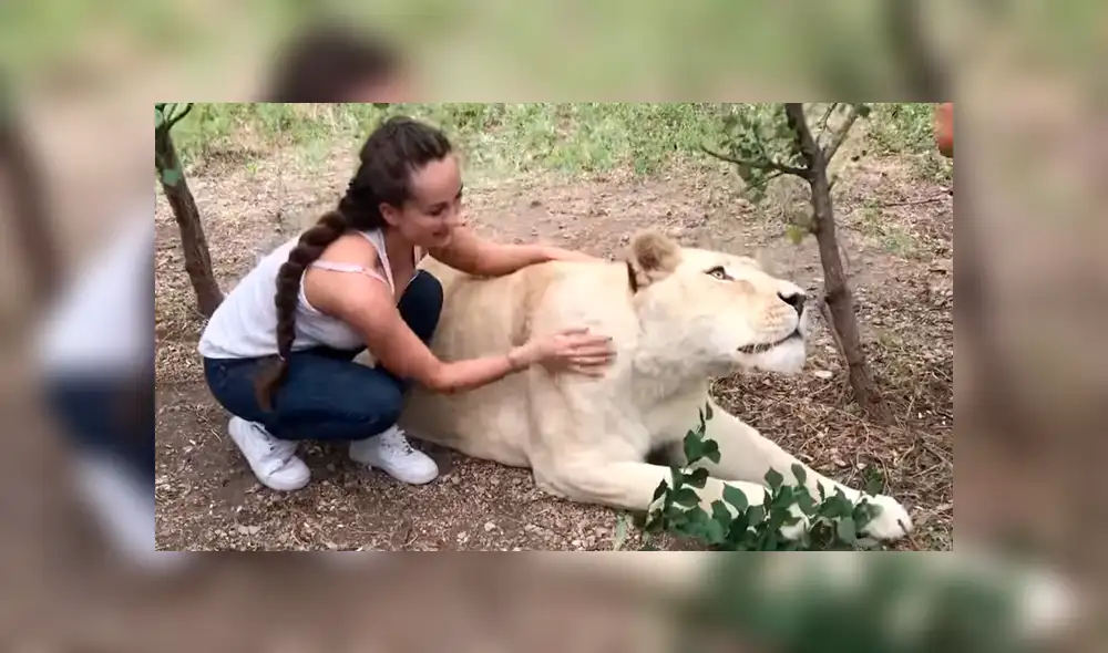 YouTube viral: Entra a calabozo de feroz depredador y este asombra a todos con una insólita reacción [VIDEO]