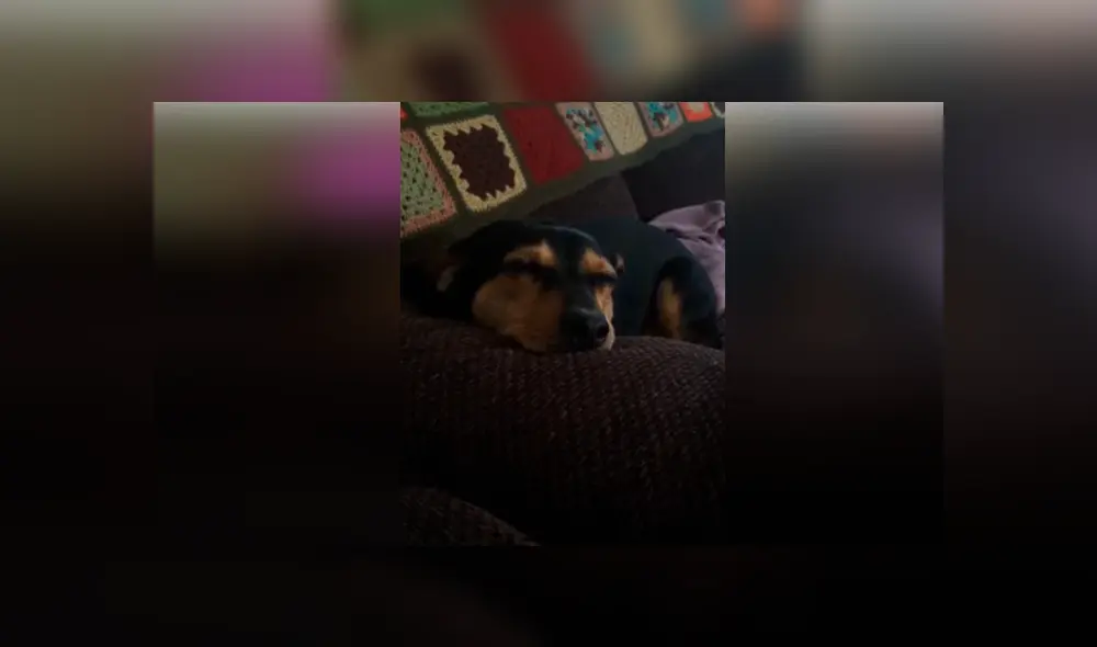 Desliza hacia la izquierda para ver las imágenes del viral de Facebook. Desliza hacia la izquierda para ver las imágenes del viral de Facebook.