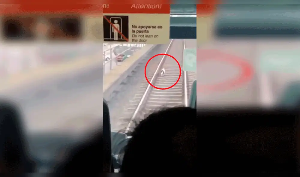 Facebook: perrito queda atrapado en las vías del tren eléctrico, pero tiene una emotivo final [VIDEO]