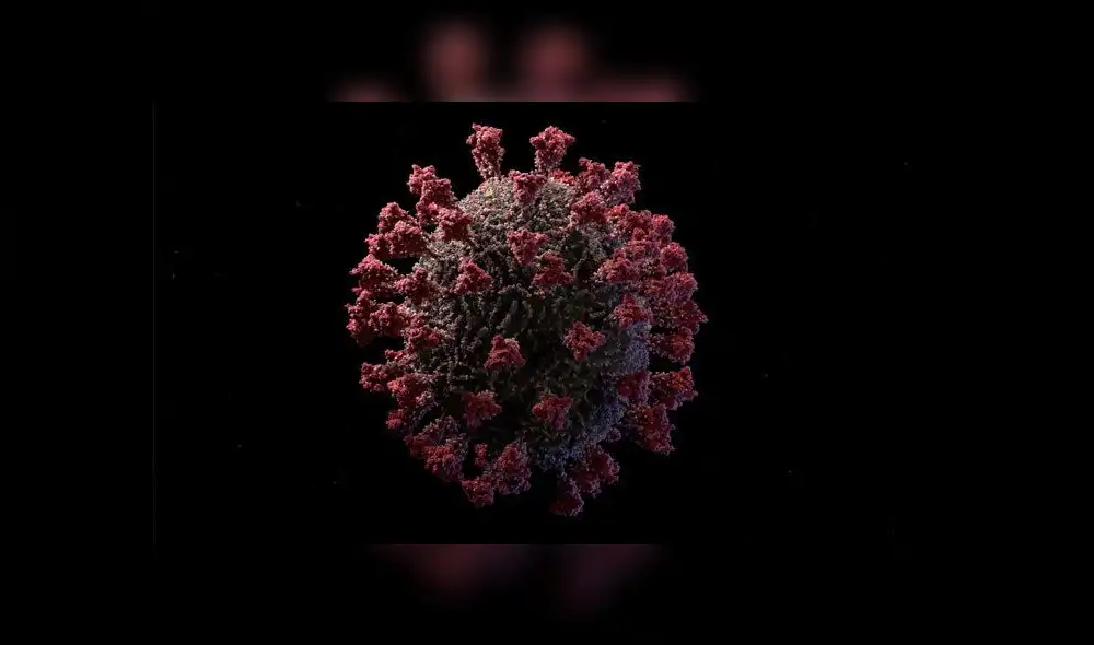 Modelo del coronavirus SARS-CoV-2. Fuente de imagen: Visual Science. Modelo del coronavirus SARS-CoV-2. Fuente de imagen: Visual Science.