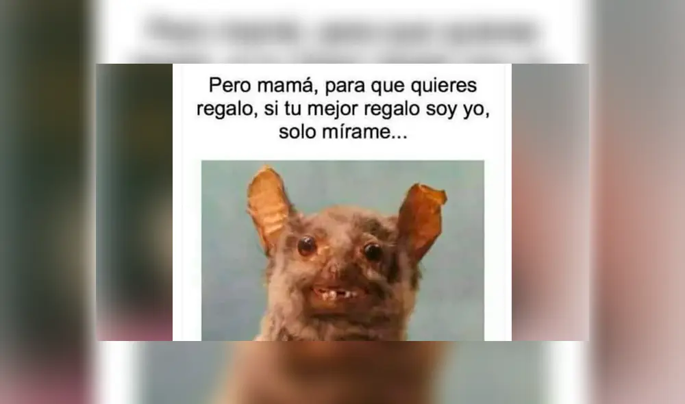 Día de la Madre: Los divertidos MEMES compartidos en Facebook por esta fecha [FOTOS]