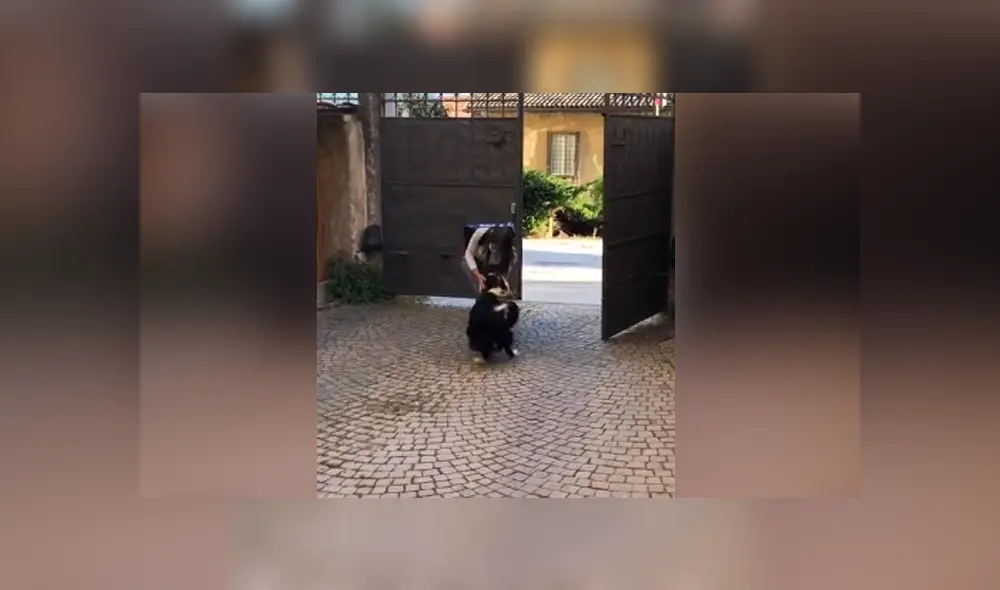 A través de Facebook se hizo viral el conmovedor reencuentro entre una joven y su perro.