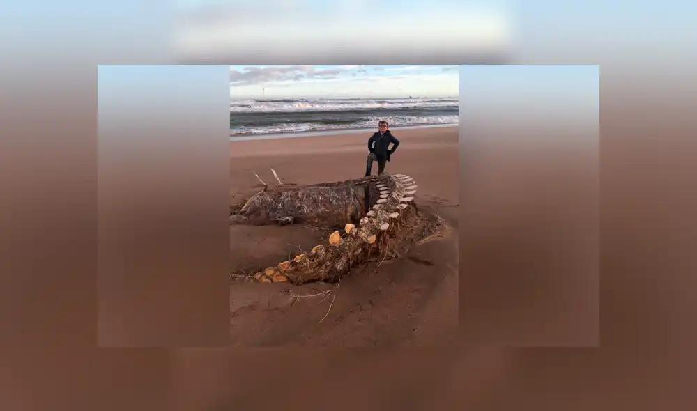 Un insólito hallazgo que se volvió viral en Facebook ha dejado impactados a miles. Un insólito hallazgo que se volvió viral en Facebook ha dejado impactados a miles.